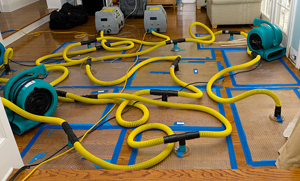 Professional Sewage Cleanup technician working in Collbran, CO